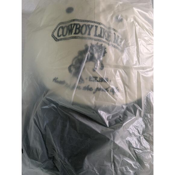 Taylor Swift Cowboy Like Me Hat Embroidered Horse And Lyrics Evermore Album main image 8